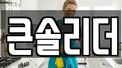 큰솔리더