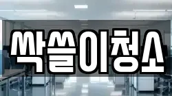 싹쓸이청소