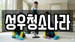 성우청소나라