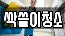 싹쓸이청소