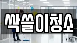 싹쓸이청소