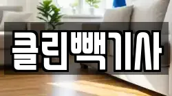 클린빽기사