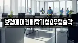 충청남도 보령시 청소,입주청소,사무실청소,에어컨청소,특수청소,상가청소,거주청소,유품정리
