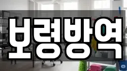 보령방역