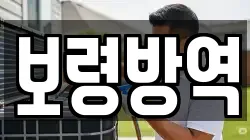 보령방역