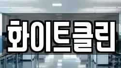 화이트클린