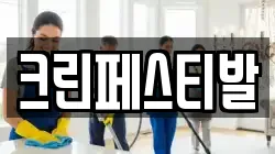 충청남도 서산시 갈산동 청소,입주청소,사무실청소,에어컨청소,특수청소,상가청소,거주청소,유품정리