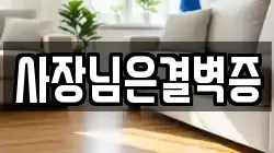 사장님은결벽증