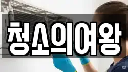 청소의여왕