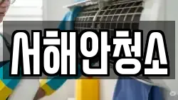 서해안청소