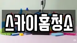 스카이홈청소