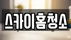 스카이홈청소