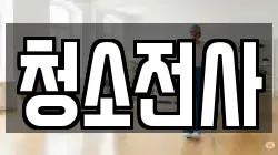 청소전사