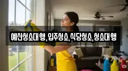 예산청소대행,입주청소,식당청소,청소대행