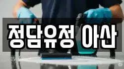 정담유정 아산