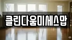 클린다움미세스맙