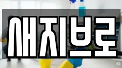 새지브로