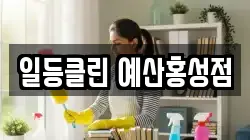 충청남도 예산군 삽교읍 청소,입주청소,사무실청소,에어컨청소,특수청소,상가청소,거주청소,유품정리