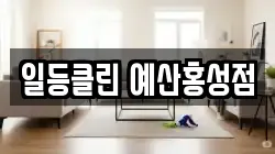 충청남도 예산군 청소,입주청소,사무실청소,에어컨청소,특수청소,상가청소,거주청소,유품정리