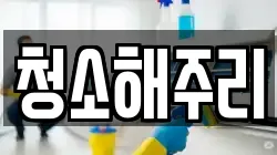 청소해주리