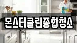 몬스터클린종합청소