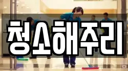 청소해주리