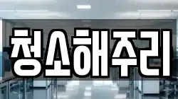 청소해주리