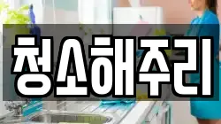 청소해주리