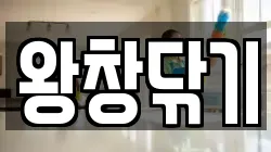 왕창닦기