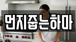 먼지줍는하마