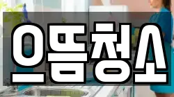으뜸청소