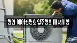 충청남도 천안시 동남구 삼룡동 청소,입주청소,사무실청소,에어컨청소,특수청소,상가청소,거주청소,유품정리