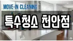 특수청소 천안점
