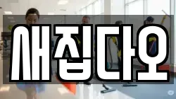 새집다오