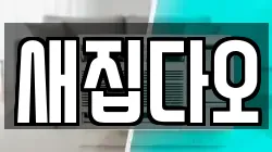 새집다오