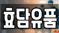 효담유품