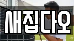 새집다오