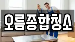 오름종합청소