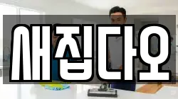 새집다오