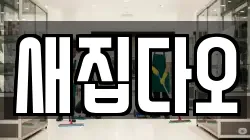 새집다오