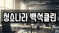 청소나라 백석클린
