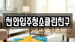 천안입주청소클린친구