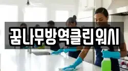 꿈나무방역클린워시