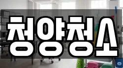 청양청소