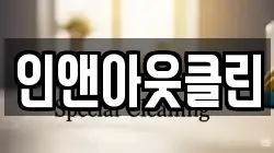 인앤아웃클린