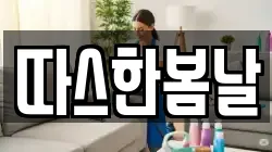 따스한봄날