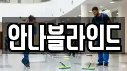 안나블라인드
