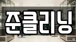 준클리닝