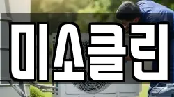 미소클린