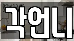 각언니